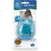 PetSafe FUNKitty Egg Cersizer: Interactive Toy & Food Dispenser - Buy Online on GoSupps.com