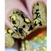 Whats Up Nails - B075 Somewhere in Bee-tween Stamping Plate for Nail Art Design - Buy Online on GoSupps.com