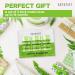 Green Tea Clay Mask Stick Set - Purifying Face Mask for All Skin Types - Pack of 3 - Buy Online on GoSupps.com