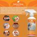 Eco Urine Deterrent & Deodoriser Spray Urine Stop for Cat Dog Repellent Stop Cats Dogs Repeat Marking Indoors Outdoors 100% Natural Enzyme Urine Destroyer 500ml - Buy Online on GoSupps.com