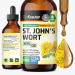 BIO KRAUTER St Johns Wort Tincture - Hypericum Perforatum Liquid Extract for Mood Support - High Absorption - St Johns Wort Alcohol Free Vegan Drops 4 Fl.Oz. 4 Fl Oz (Pack of 1)