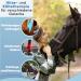 IceHOF Cooling Gaiters for Horses | Firm Hold & Comfortable Material | 2 Removable Cooling Packs | Washable & Protective Cooling Straps (2 Pieces) - Buy Online on GoSupps.com