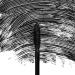 Pacifica Aquarian Gaze Water-Resistant Long Lash Mineral Mascara - Abyss (0.25 oz) - Buy Online on GoSupps.com