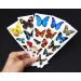 Colorful Temporary Butterfly Tattoos - 5 Sheet Pack by Butterfly Utopia - Buy Online on GoSupps.com