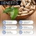 Tranquil Ear PM: Tinnitus Relief Supplement by Ear Surgeons - Nighttime Formula - All-Natural 30 Vegan Capsules - Buy Online on GoSupps.com