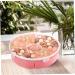 LABRIMP Candy Decor Box Dried Fruit Snack Box Food Serving Tray Plastic Candy Divided Serving Tray Pastry Stand Camping - Buy Online on GoSupps.com