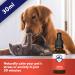 Dorwest Valerian Compound for Dogs and Cats 30ml Quick acting Dog Calming Liquid Drops - Valerian for Dogs Non-Drowsy - Buy Online on GoSupps.com