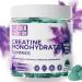 Creatine Monohydrate Gummies - Vegan Sugar-Free Gluten-Free - Boosts Muscle Recovery Strength & Lean Muscle Growth - Brain Health Support - for Men & Women - Blueberry Flavor - 120 Gummies