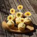 Sunflower Cupcake Toppers Sunflower Cake Picks for Flower Themed Party Birthday Party Decorations Supplies 36 Pieces - Buy Online on GoSupps.com