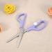Baby Food Scissors Portable Stainless Steel Scissor Children Safety Food Cutter with Cover for Baby Infant Complementary Food(Purple) - Buy Online on GoSupps.com