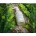 Sea-el Avocado Kelp Cream Cleanser | Gentle & Moisturizing Facial Wash - 4oz - Buy Online on GoSupps.com