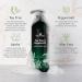 Plant Therapy Tea Tree & Peppermint Body Wash 32oz + 2oz Travel Size - Sulfate-Free, All Skin Types, Men & Women - Buy Online on GoSupps.com