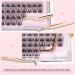 ALLOVE Cluster Lash Applicator Tools - 2 Pieces for DIY Lash Extensions & Easy Eyelash Placement | Curved Tools for Strip Lashes & Cluster Removal - Buy Online on GoSupps.com