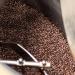 DEAD OR ALIVE COFFEE No3 - Strong Espresso Beans 500g - 100% Robusta - High Caffeine Espresso - Medium Roast Premium Blend - Low Acid Whole Beans - Ideal for Espresso Machines - Roasted in Italy 500.0 grams - Buy Online on GoSupps.com