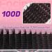 Focipeysa Fluffy Lash Clusters 100D | 10-18mm Individual D Curl Eyelash Extensions | DIY Lash Kit for Beginners | International Shipping Available - Buy Online on GoSupps.com