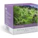 Natur Boutique Organic Burdock Root Tea 20 sachets - Buy Online on GoSupps.com