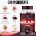 1000 mg Premium Himalayan Shilajit Gummies for Men and Women | Sugar-Free Organic | Non-GMO | Vegan-Friendly | Energy & Focus Boost - Immune Support | 60 Gummies 60 Count (Pack of 1) - Buy Online on GoSupps.com