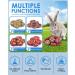 Bissap 20PCS Bunny Chew Toys - Natural Timothy Hay Rose Carrot Fruit Chinchillas Chewing Treats for Rabbits, Guinea Pigs, Hamsters - Small Animal Molar Snacks - Buy Online on GoSupps.com