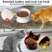 Ceramic Cat Bowls Set - Anti Vomiting, Tilted, Elevated - For Cats and Small Dogs - Protects Pet's Spine - Dishwasher & Microwave Safe - 2 Pack Black-White - Buy Online on GoSupps.com