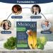 Wellgenix Menocet Plus Menopause Support - 2 Pack (30 Tablets) | Natural Relief for Hot Flashes, Mood Swings & Night Sweats - Buy Online on GoSupps.com