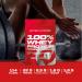 Buy Scitec Nutrition 100% Whey Protein Professional - Gluten-Free Palm Oil-Free Chocolate Hazelnut 1kg | Amino Acids & Digestive Enzymes | International Shipping - Buy Online on GoSupps.com