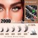 Focipeysa Lash Extension Kit | 200D Individual Eyelashes DIY Fluffy Clusters 10-18mm Complete Eyelash Extension Set with Bond & Remover - Buy Online on GoSupps.com