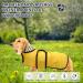 Minezi Waterproof Reflective Vest for Small & Medium Dogs - Adjustable Raincoat for Dachshunds & More (Yellow L) - Buy Online on GoSupps.com