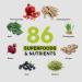 VitaHustle ONE Plant-Based Protein Superfood - Vanilla Bean 10 Servings | Buy Internationally - Buy Online on GoSupps.com