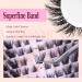 Cat Eye Lash Clusters Kit - Wispy Fluffy Eyelash Extensions for Natural Look | Fox Eye Individual Lashes | International Shipping - Buy Online on GoSupps.com