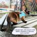 Belffy Cat Dishes & Leash Set - Automatic Leash for Cats Kittens & Dogs | Outbreak-Proof Jacket for All Sizes - Small Blue - Buy Online on GoSupps.com