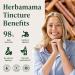 HERBAMAMA Cinnamon Drops - Vegan Antioxidant & Overall Support with Ceylon Cinnamon Extract Liquid Tincture - Non-GMO Alcohol & Sugar-Free Supplement 84-Day Supply 4 Fl Oz (Pack of 1) - Buy Online on GoSupps.com