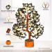 Black Tourmaline Healing Crystal Money Tree - Chakra Balancing Home Decor & Spiritual Gift | Reiki Energy Balancing Tree #4 - Buy Online on GoSupps.com