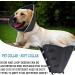 SMIM Large Dog Cone Collar for Post-Surgery Recovery - Adjustable and Soft Protective Collar for Dogs and Cats - Wound Healing Support - Buy Online on GoSupps.com