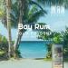 Bay Rum Solid Cologne - Natural Men's Bay Rum Cologne - Redefined men's fragrance Bay Rum Wax Cologne Bay Rum Travel Size Cologne for men - Bay Rum Solid Cologne for men (3/4 oz (Pack of 1) Bay Rum) - Buy Online on GoSupps.com