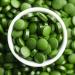 Vital Plan Pure Chlorella Tablets | Sun Grown Chlorella Pyrenoidosa Supplement by Dr. Bill Rawls | Organic Chlorella w Broken Cell Wall & Chlorophyll | 1000 Tabs - Buy Online on GoSupps.com