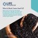 Life Extension Black Cumin Seed Oil 60 Softgels | Premium Health Supplement - Buy Online on GoSupps.com