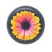 Invisalign Aligner and Retainer Case Orange Daisy
