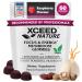 XCEED NATURE Lions Mane & Cordyceps Mushroom Gummies - 10in1 Supplement - for Focus Energy Mood Memory & Clarity - 60 Pcs