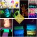 Hemoer 12 Colors Glow in the Dark Pigment Powder - Non-Toxic Luminous Mica for Epoxy Resin, Nails, Acrylic Paint, Halloween - 0.7oz/Bottle - Buy Online on GoSupps.com