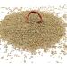 Organic Rye Grain 1kg - GMO-Free Whole Grain for Baking & Cooking - Vegan Raw Certified - Nutritious & Flavorful - Thames Organic - Buy Online on GoSupps.com