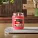 Candle-LITE Apple Cinnamon Crisp Scented Candle - 18 oz Aromatherapy 110 Hours Burn Time Red - Shop Internationally - Buy Online on GoSupps.com