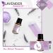 Buy Rocky Mountain Organic Lavender Essential Oil - 15ml | Aromatherapy for Diffuser & Home Use - Buy Online on GoSupps.com