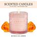 Auelife Moroccan Amber Scented Candle - Natural Soy Candle Gift for Women | 7 oz | Luxurious Home Fragrance - Buy Online on GoSupps.com