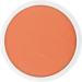 Kryolan Pintura Water Color Schminke 25ml - Terracotta | Washable Vegan Perfume-Free Paraben-Free Gluten-Free | Ideal for Kids Parties Carnival & Halloween - Buy Online on GoSupps.com