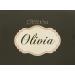 Beauty Creations 35 Color Pro Palette - OLOVIA | High-Quality Makeup Palette - Buy Online on GoSupps.com