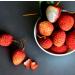 Buy Food-United Litschi Puree - Premium Lychee Fruit Puree by Ponthier (4x1kg) for Smoothies Bowls Sorbets & Juices | 100% Natural No Additives 4kg - Buy Online on GoSupps.com