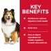 Hill's Science Diet Adult Sensitive Stomach & Skin Canned Dog Food Chicken & Vegetable Entr e & Senior 7+ Canned Dog Food Savory Stew with Beef & Vegetables 12.8 oz 12 Pack wet dog food - Buy Online on GoSupps.com