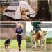 Hands-Free Multi-Function Dog Lead - Strong 1.4cm Thick Nylon Training Leash | 3 Adjustable Lengths | for Small, Medium, Large Dogs | Black 7ft x 1/2 - Buy Online on GoSupps.com