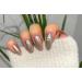 TEN NAILS 24pcs Ballerina False Nails Fake Coffin Long Tips 12 Sizes with Glue (Champagne Gold 30pcs) - Buy Online on GoSupps.com