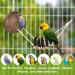 Buy Vegan 7-Piece Wooden Bird Toy Set - Multicolored Ladders & Accessories for Budgies Parrots and More | International Shipping - Buy Online on GoSupps.com